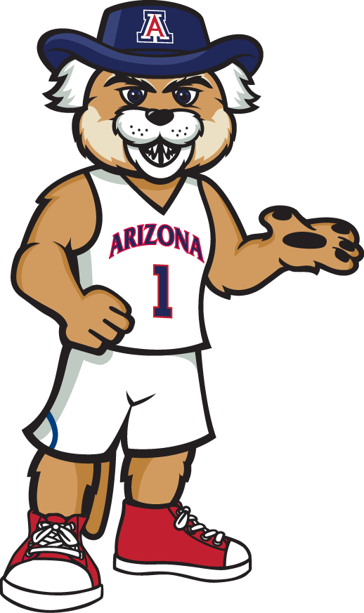 Arizona Wildcats 2013-Pres Mascot Logo v3 iron on transfers for clothing